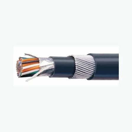 Polycab 1 Sqmm, 12 Pair, Shielded with Al Mylar Tape, Pvc Insulated, Armoured Frlsh Instrumentation Cable